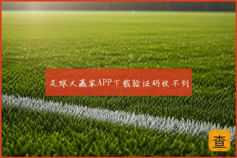 足球大赢家APP下载验证码收不到