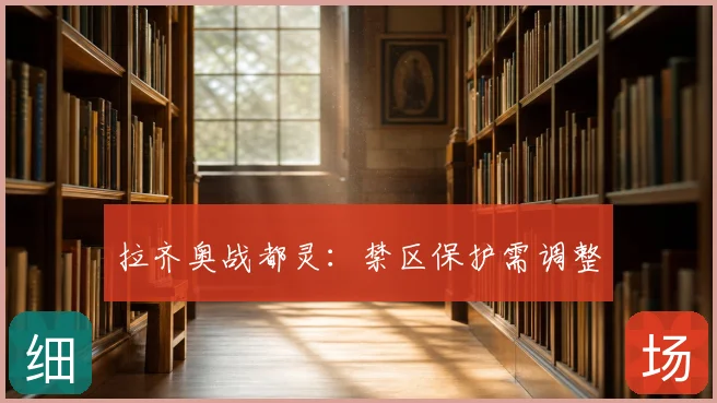 拉齐奥战都灵：禁区保护需调整