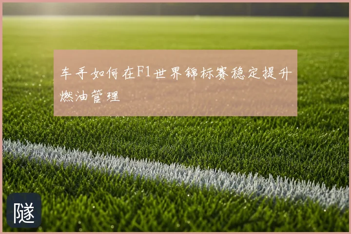 车手如何在F1世界锦标赛稳定提升燃油管理